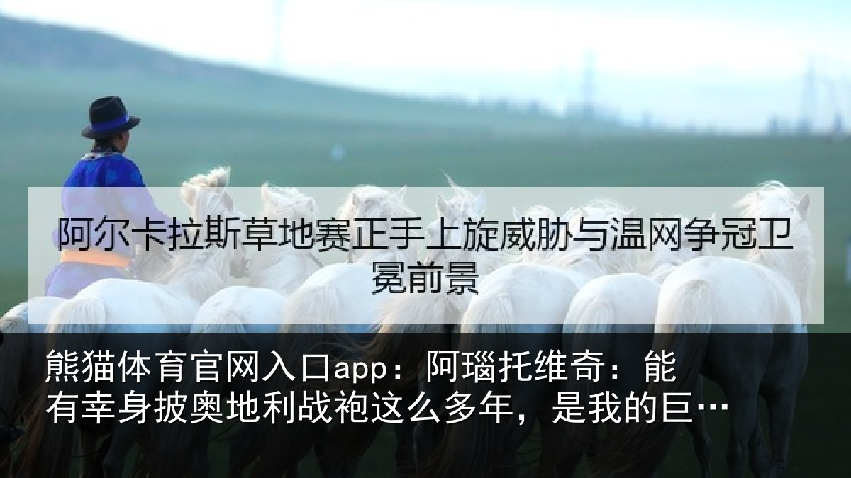 熊猫体育官网入口app:阿瑙托维奇:能有幸身披奥地利战袍这么多年,是我的巨大荣誉