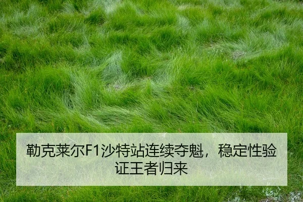 lei-ke-lai-er-sha-te-zhan-lian-xu-duo-kui-wen-ding-xing-yan-zheng-wang-zhe-gui-lai-2-416.jpg