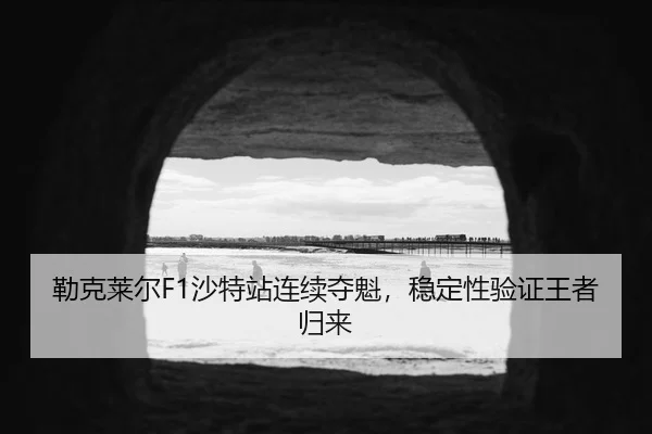 lei-ke-lai-er-sha-te-zhan-lian-xu-duo-kui-wen-ding-xing-yan-zheng-wang-zhe-gui-lai-3-252.jpg
