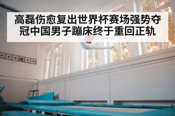 高磊伤愈复出世界杯赛场强势夺冠中国男子蹦床终于重回正轨